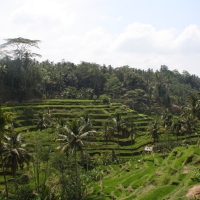Остров Бали - последният рай на земята